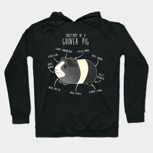 Guinea Pig Anatomy Hoodie